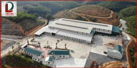 Long Dat - Vietnam plywood factory