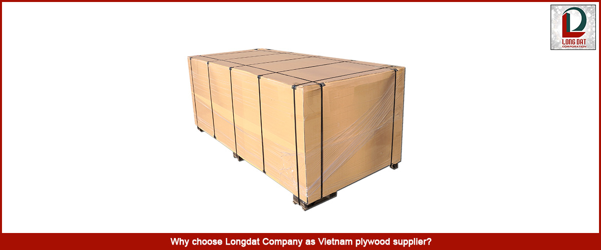 Why choose Longdat Company as Vietnam plywood supplier?