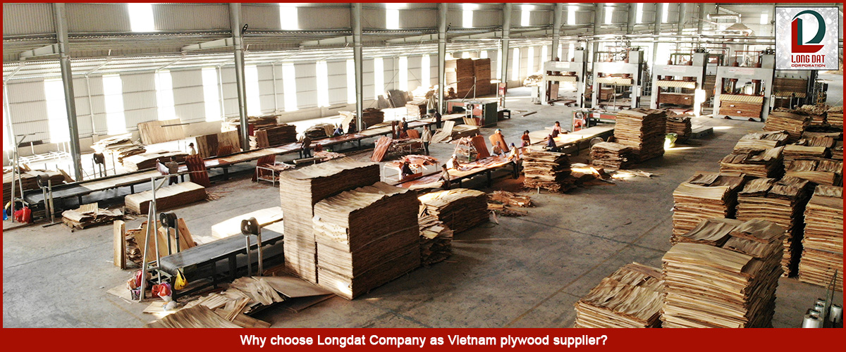 Why choose Longdat Company as Vietnam plywood supplier?