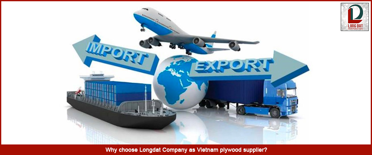 Why choose Longdat Company as Vietnam plywood supplier?